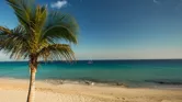 Image of Beachfront