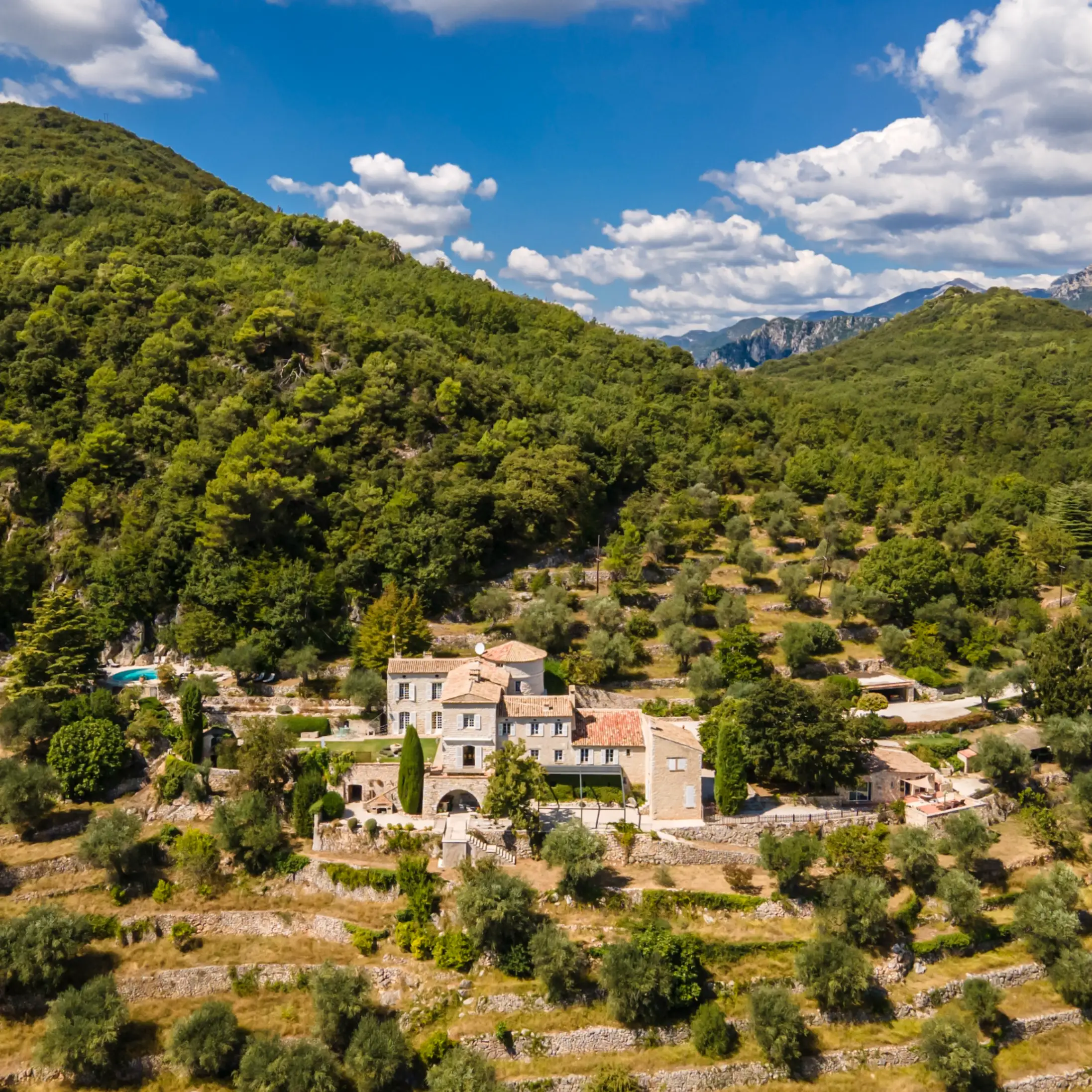 Beyond the traditional sale: the rise of the international property auction