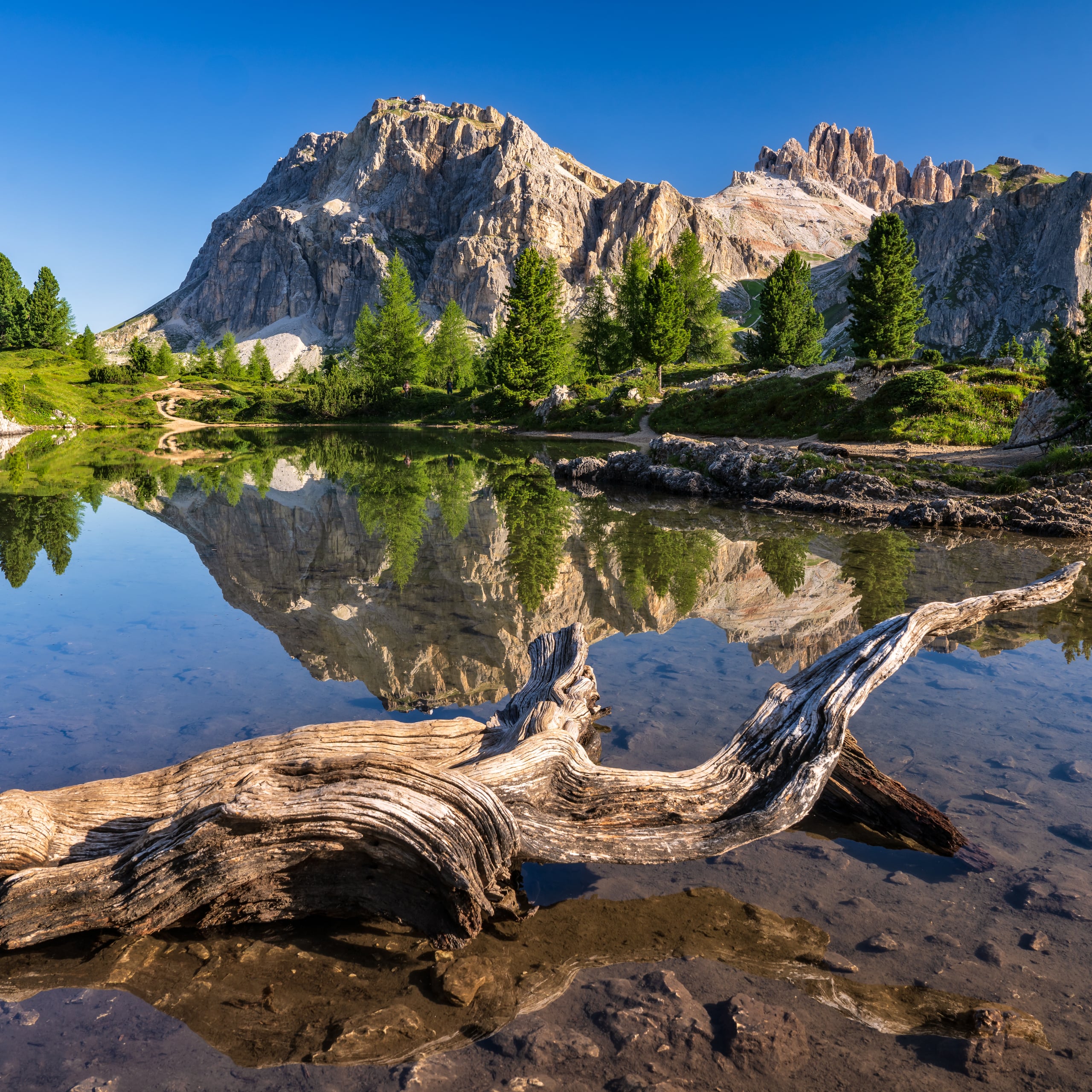 Image of Inside Cortina d’Ampezzo: a local’s guide to Italian alpine life  